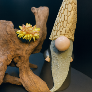 Morel Mushroom Gnome